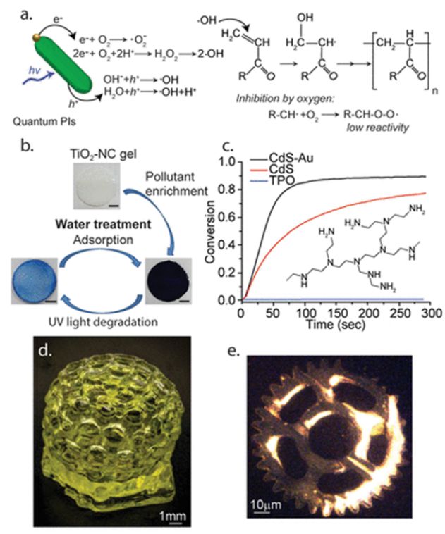 Quantum Photoinitiator -- Towards emerging photocuring technology!